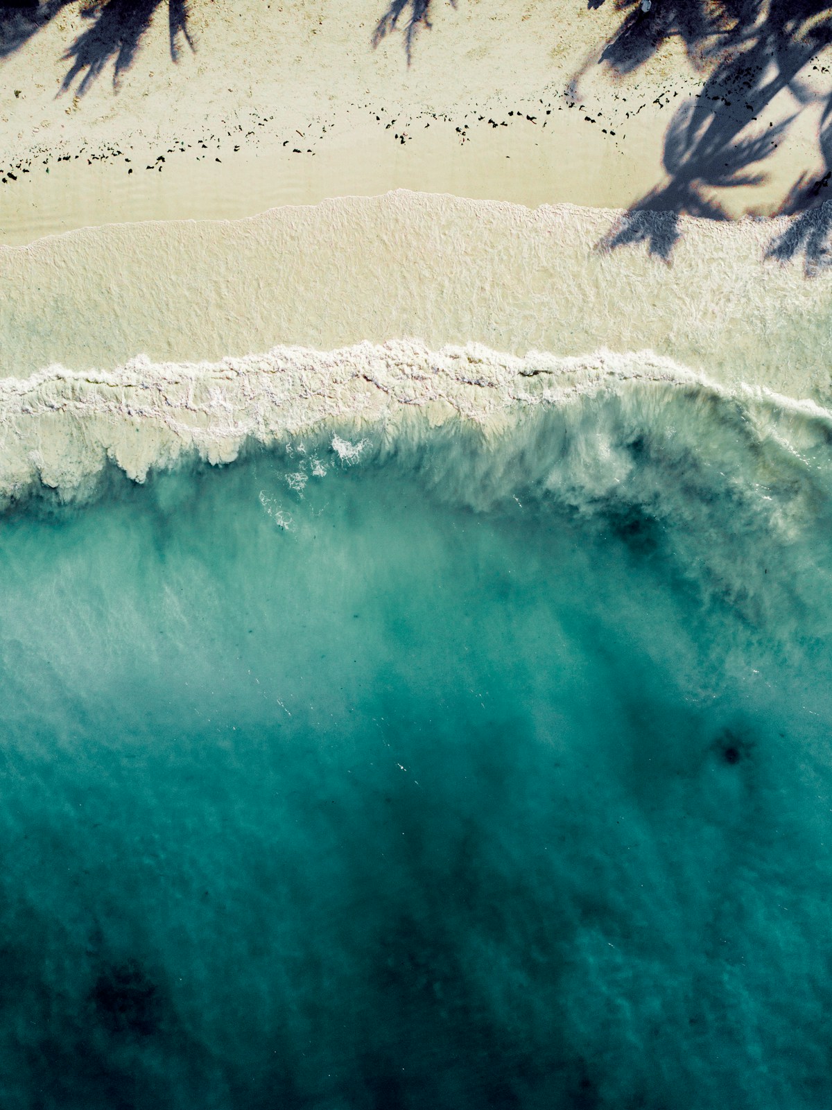 Kwale & Michamvi Beach