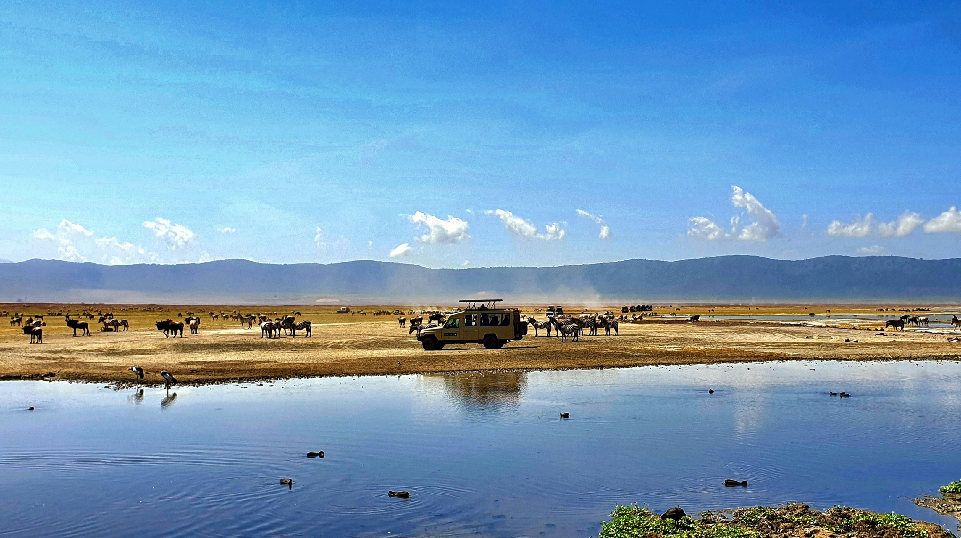 Ngorongoro National Park Safari
