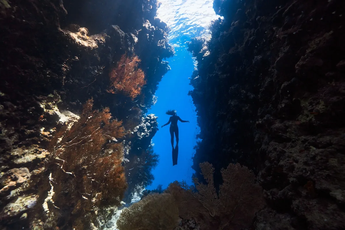 Sea Walk – Underwater Walk