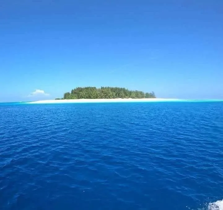 Mnemba Island & Dolphins