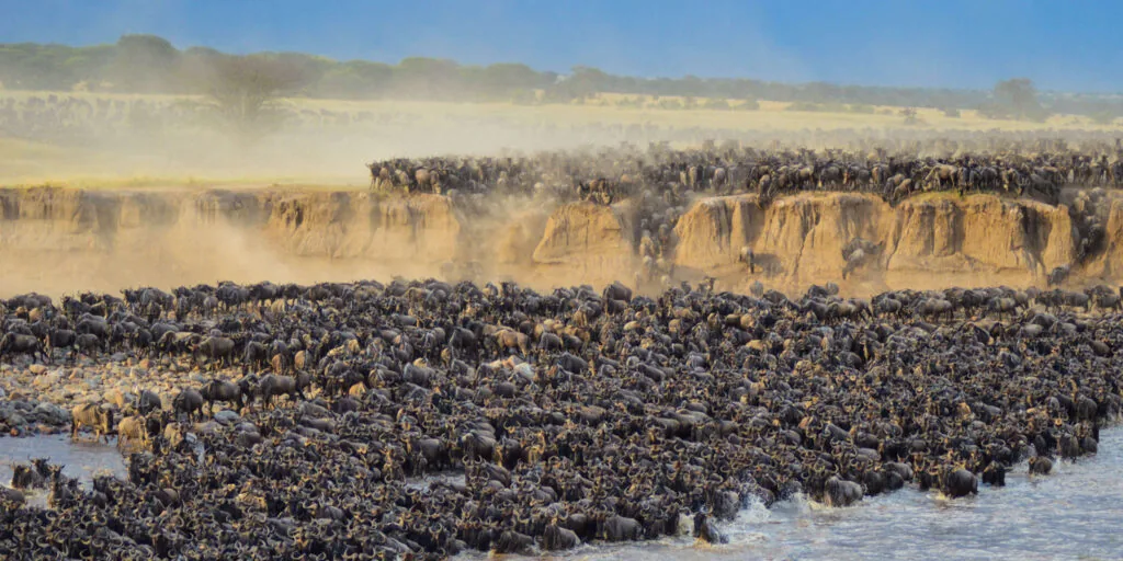 12 Days - Great Migration Safari & Zanzibar