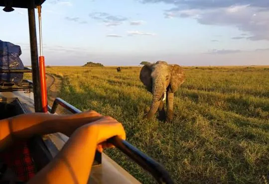 12 Days - Great Migration Safari & Zanzibar