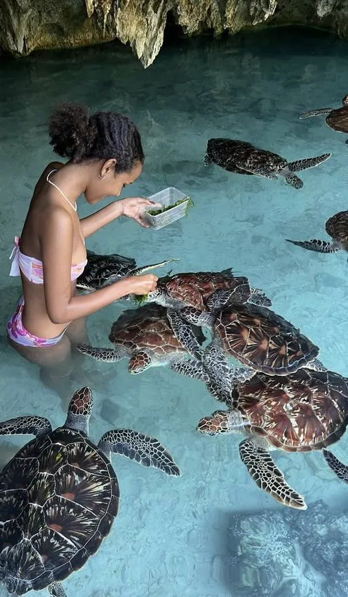 Aquarium & Schildkröten