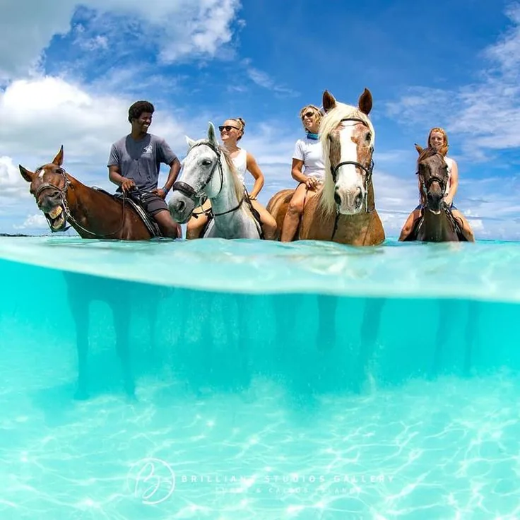 Horse Riding & Swimming