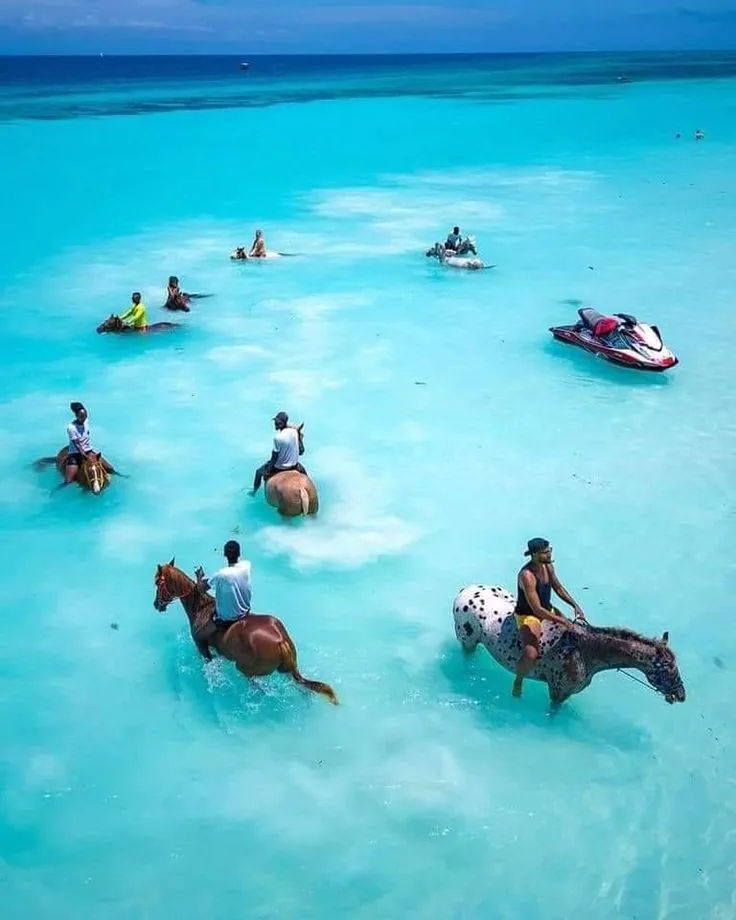 Horse Riding & Swimming