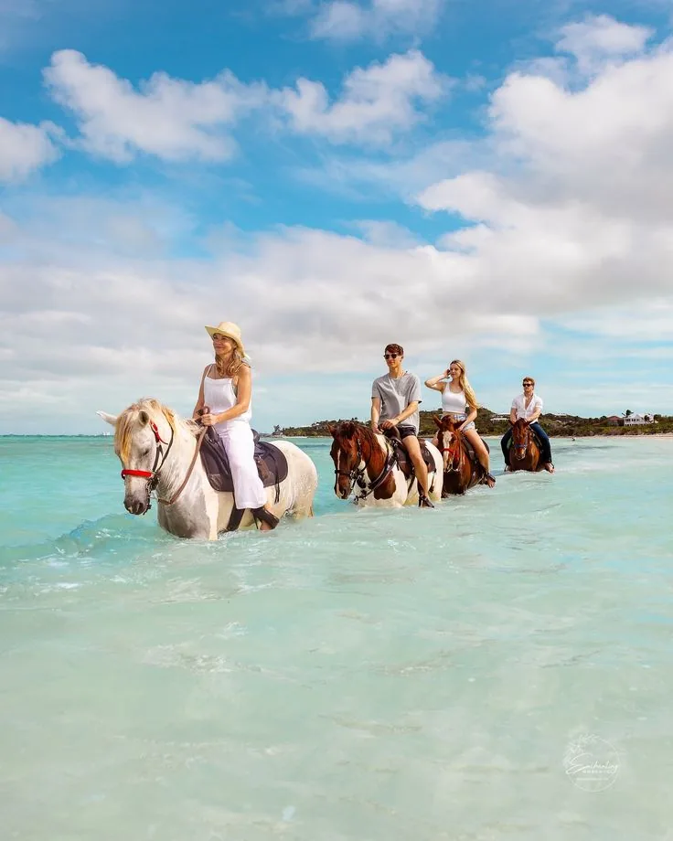 Horse Riding & Swimming