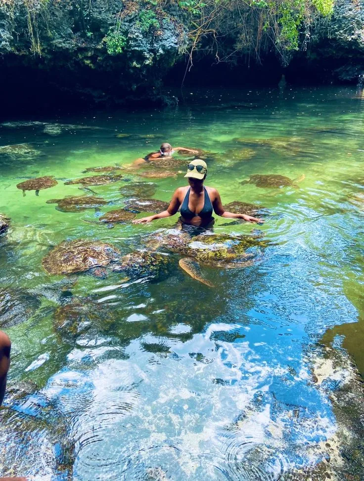 turtles sanctuary, Nungwi & Kendwa Beach