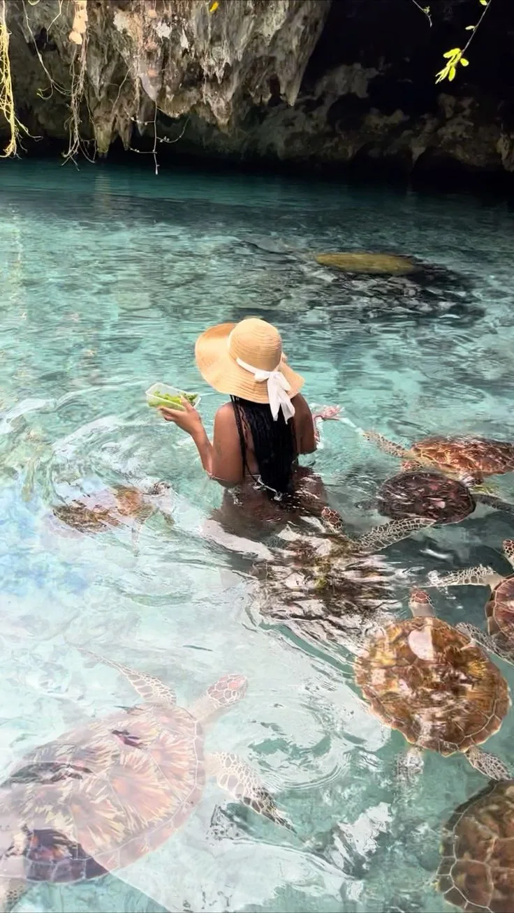 turtles sanctuary, Nungwi & Kendwa Beach
