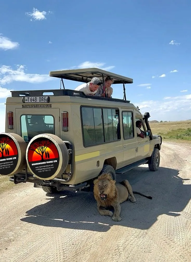 Ngorongoro Nationalpark