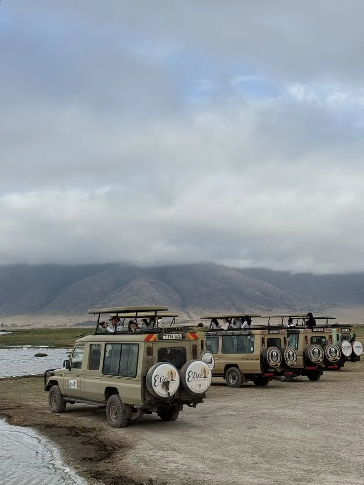 Ngorongoro National Park Safari