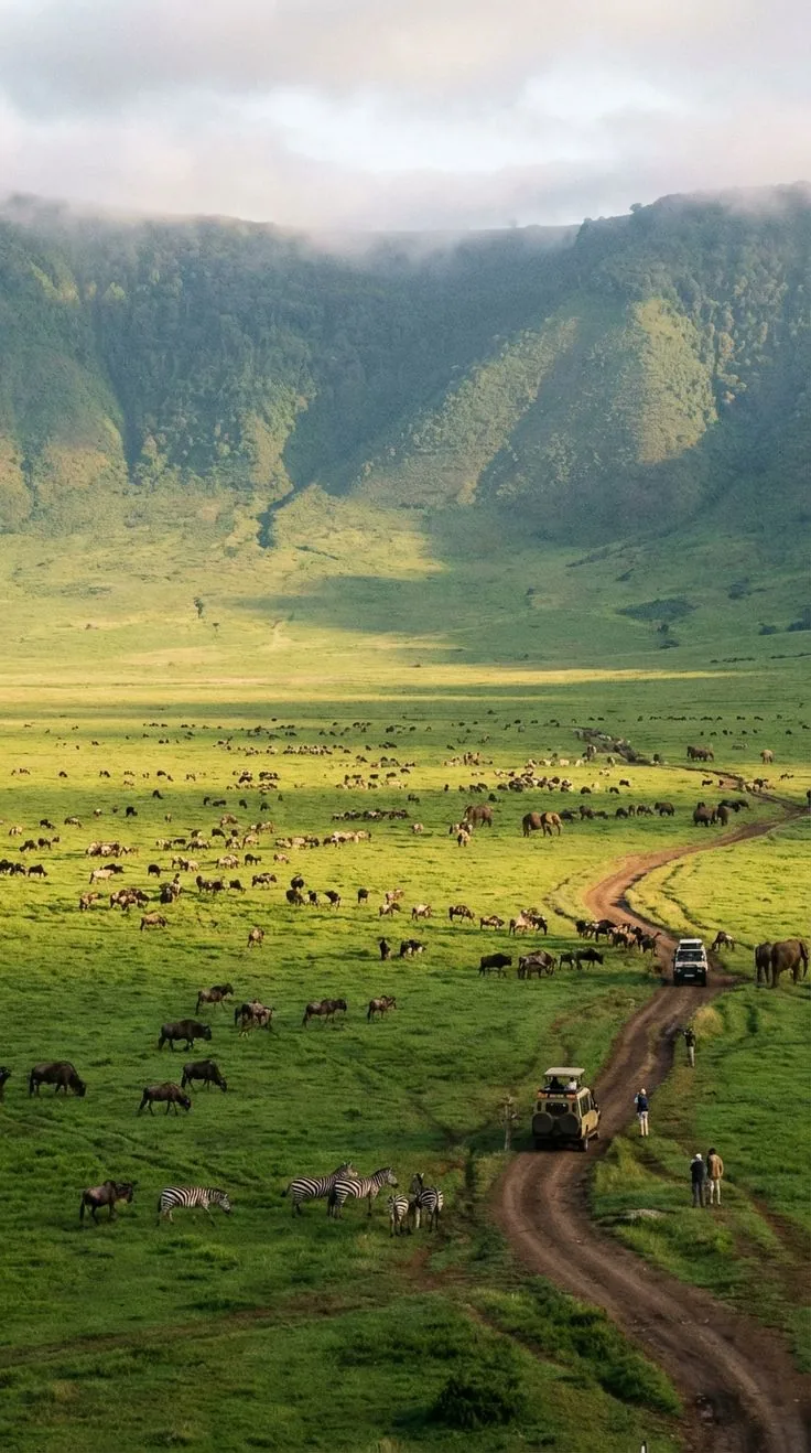 Ngorongoro National Park Safari