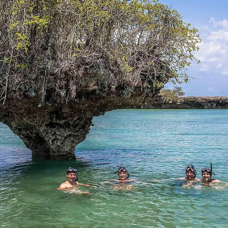 Private Snorkeling & Dolphins