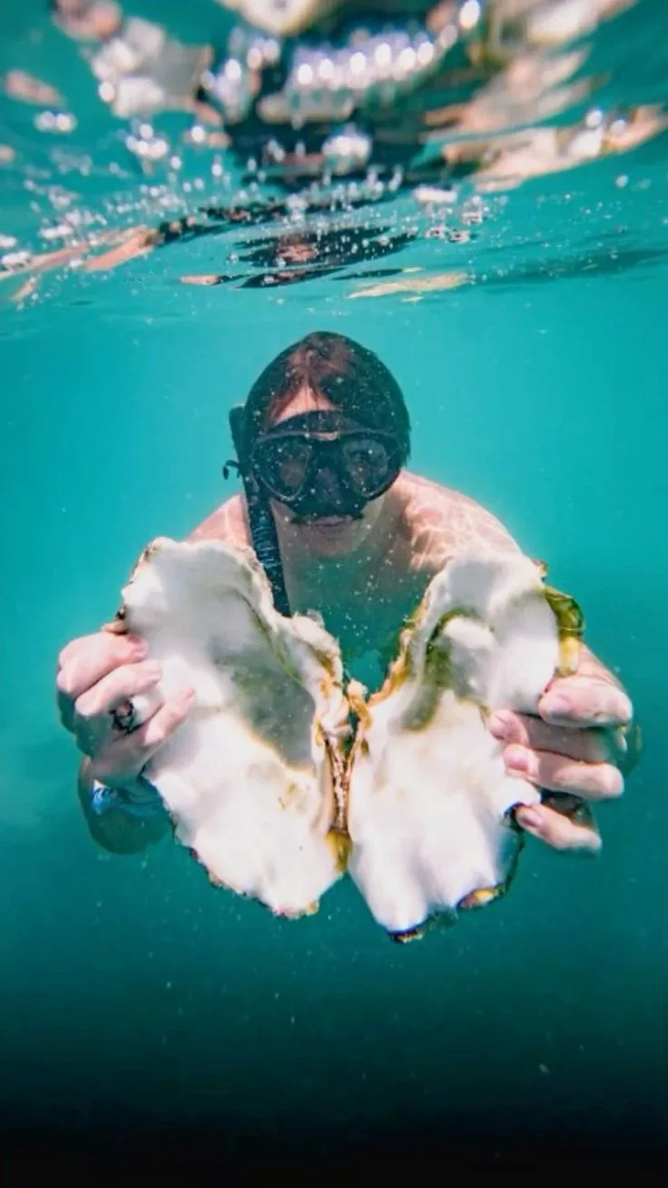 Private Snorkeling & Dolphins
