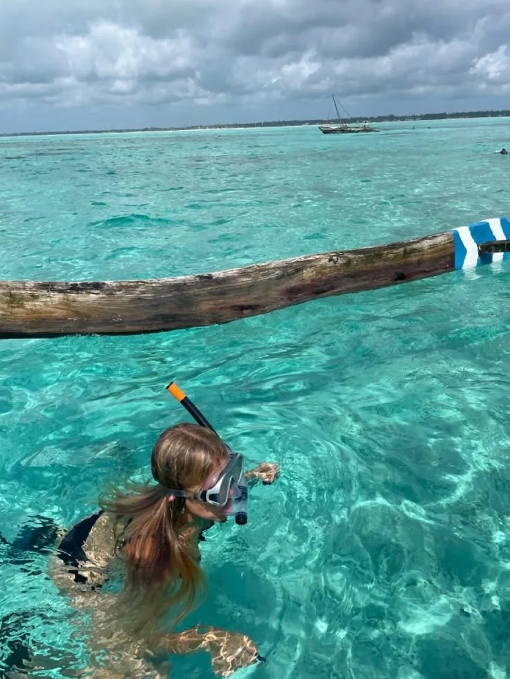 Private Snorkeling & Dolphins