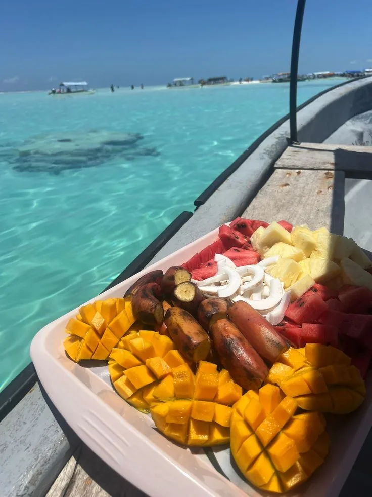 Safari Blue Lunch