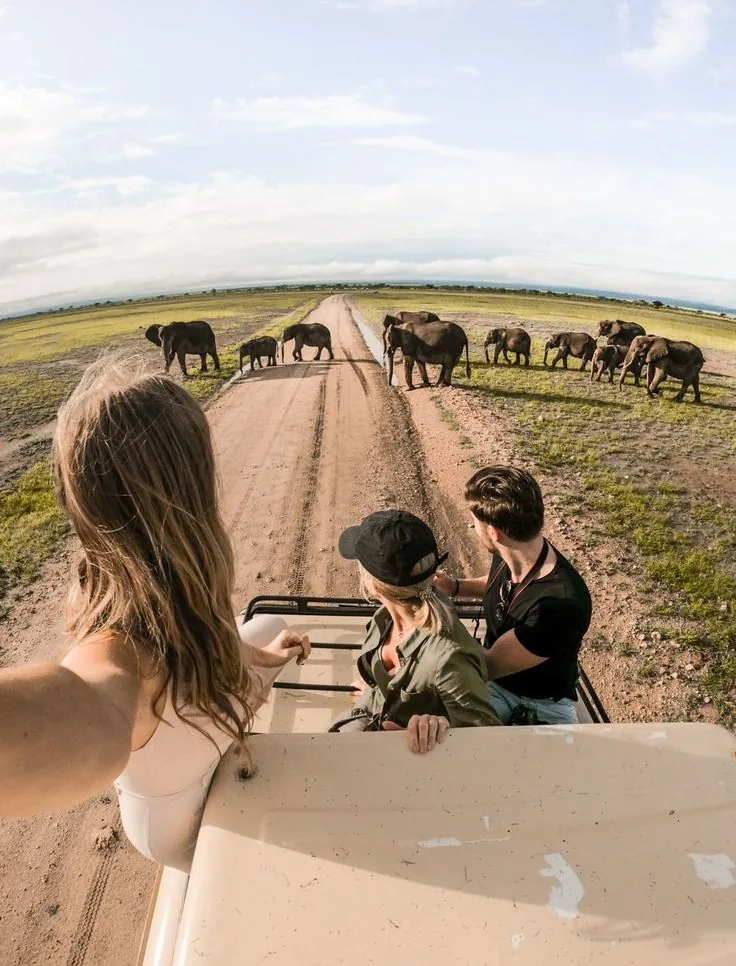 Mikumi National Park Safari