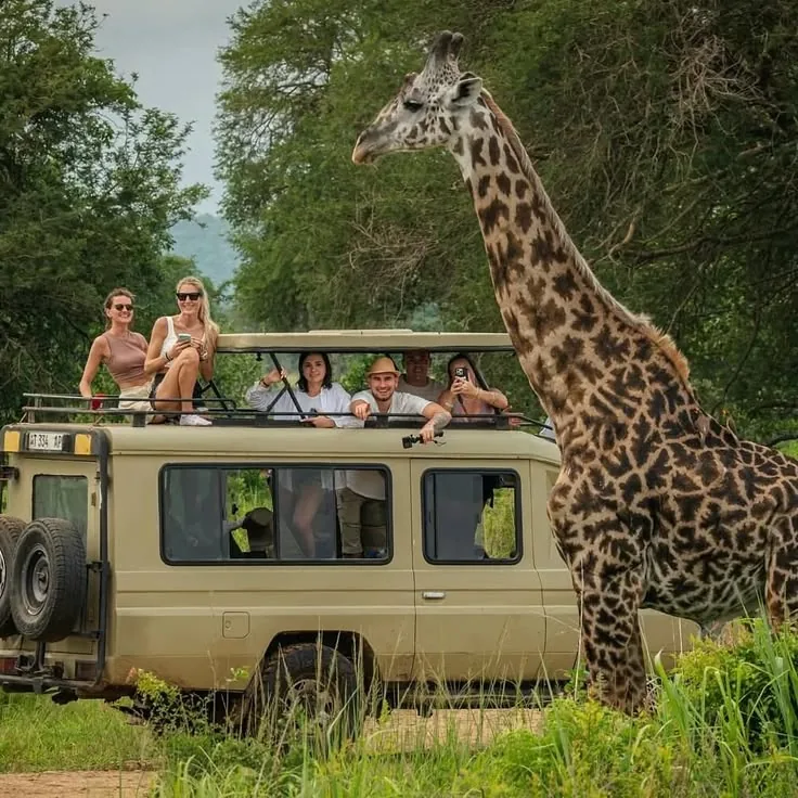 2-Day Tanzania Safari – Lake Manyara & Ngorongoro