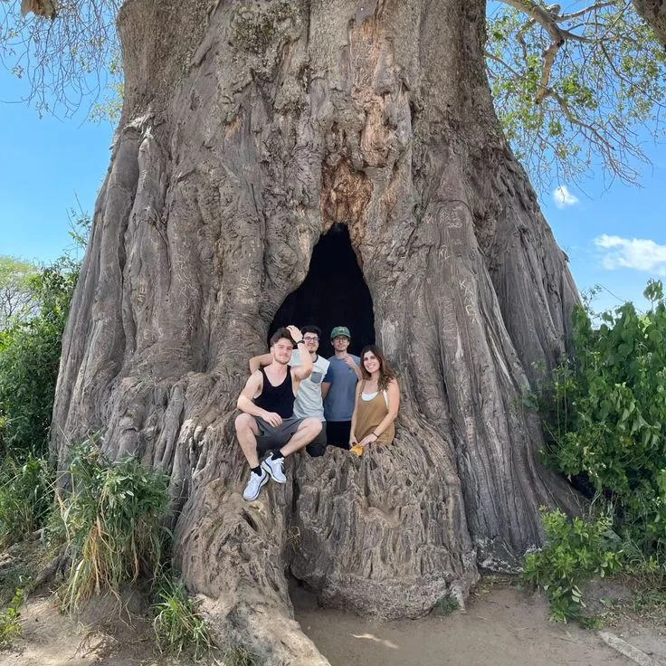 2-Day Tanzania Safari – Tarangire & Lake Manyara