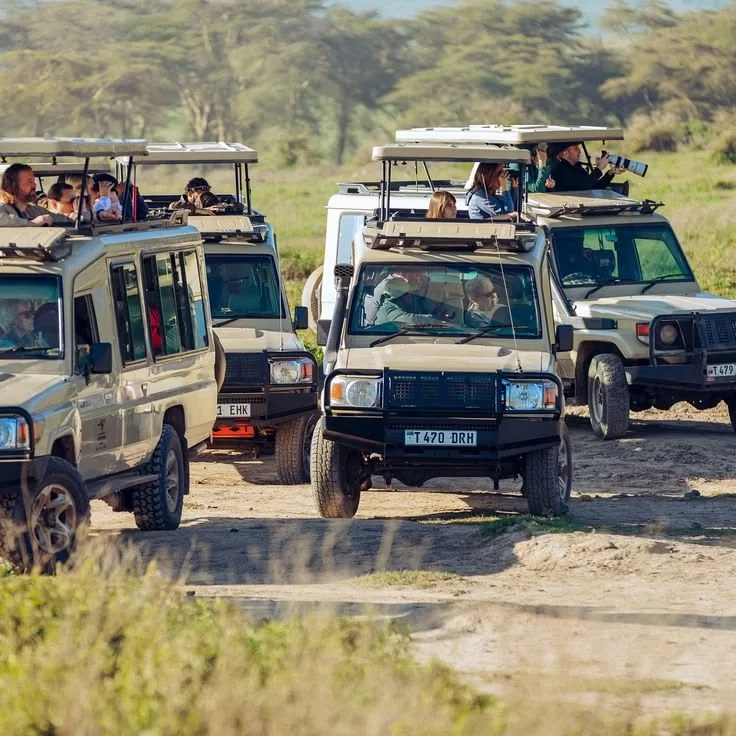 2-Day Tanzania Safari – Tarangire & Ngorongoro