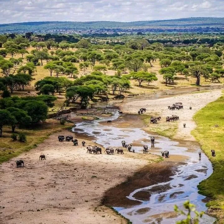2-Day Tanzania Safari – Tarangire & Ngorongoro