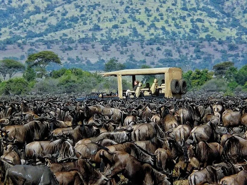 4-Day Tanzania Safari – Tarangire, Serengeti & Ngorongoro