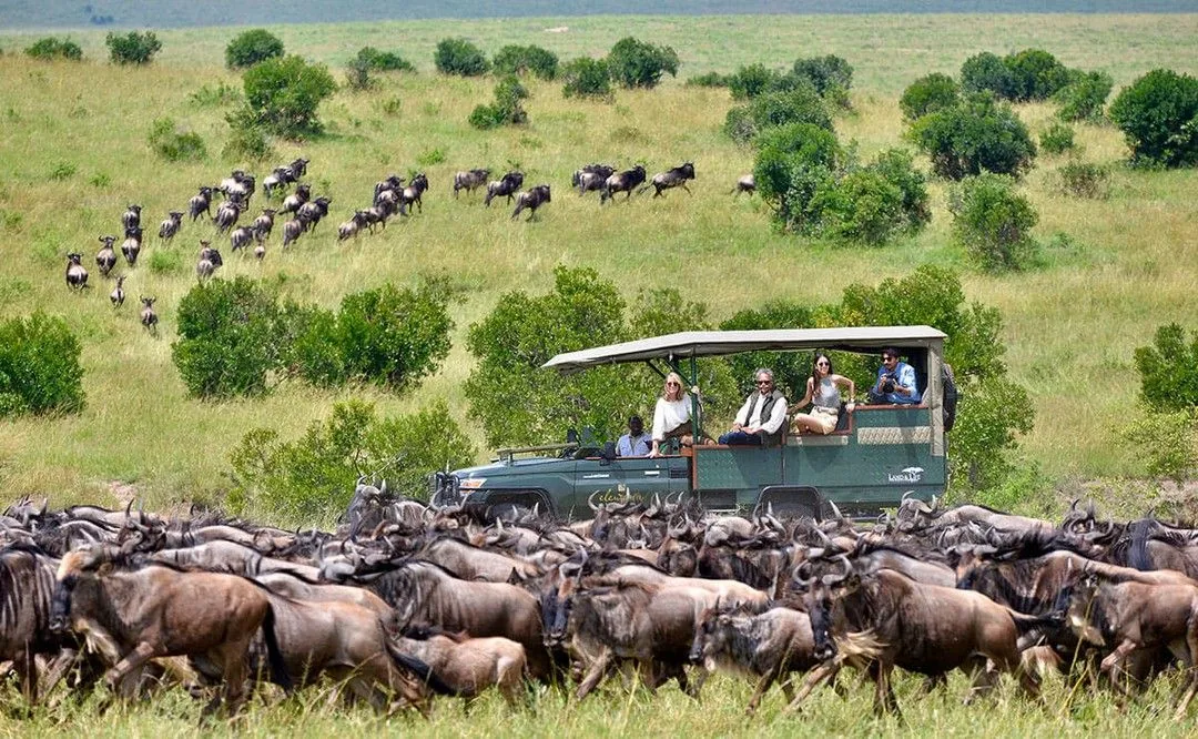 4-Day Tanzania Safari – Tarangire, Serengeti & Ngorongoro