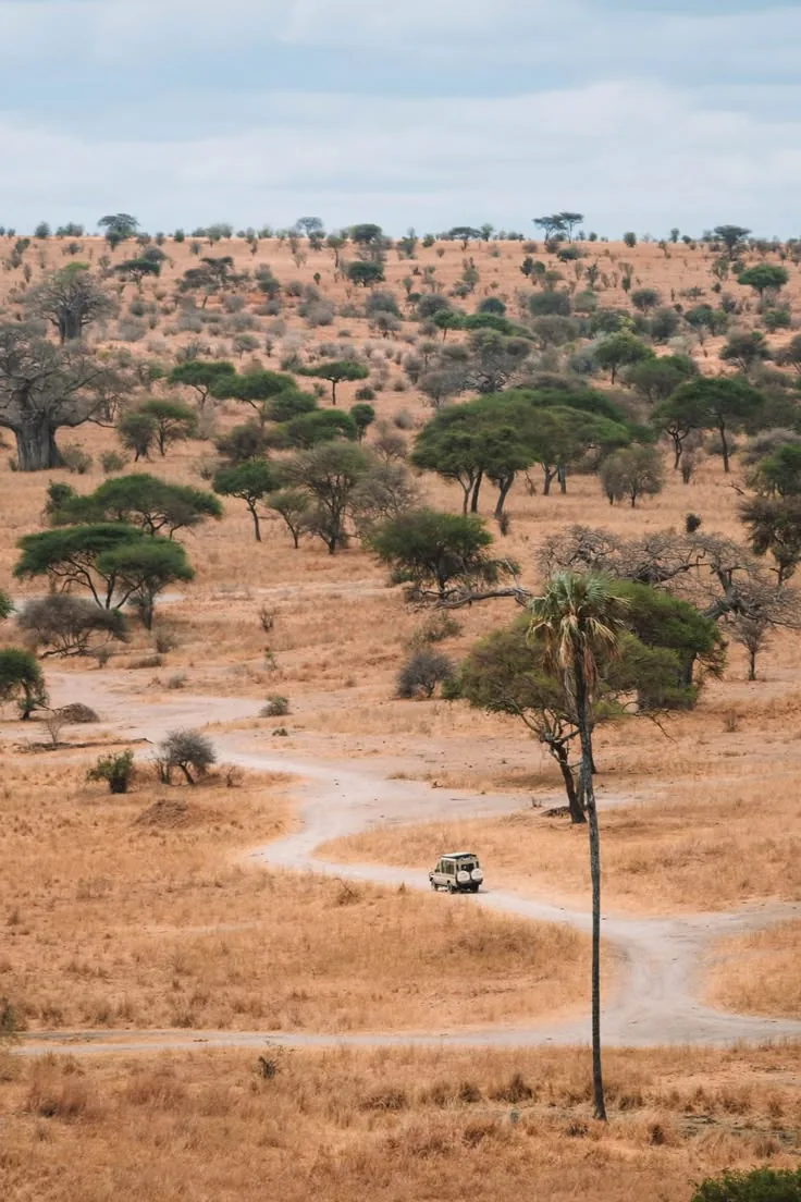 Tansania Safari 5 Tage – Vollständiger Nordkreis