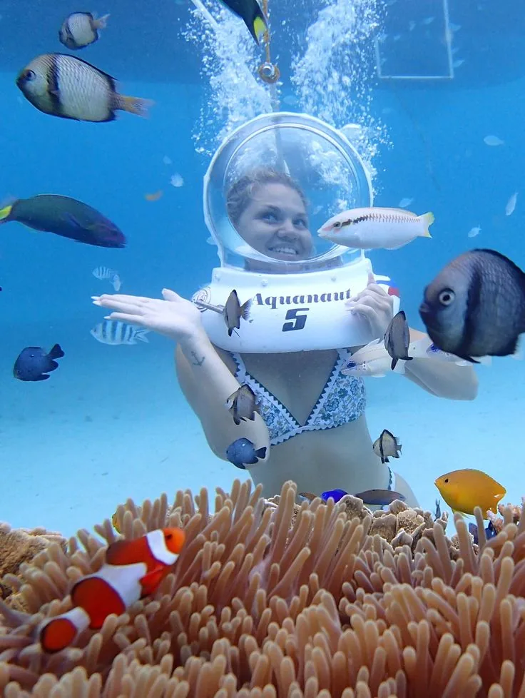 Sea Walk – Underwater Walk