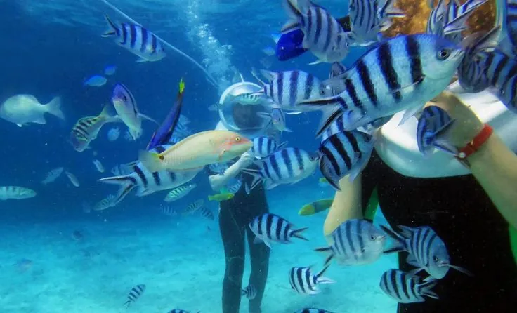 Sea Walk – Underwater Walk