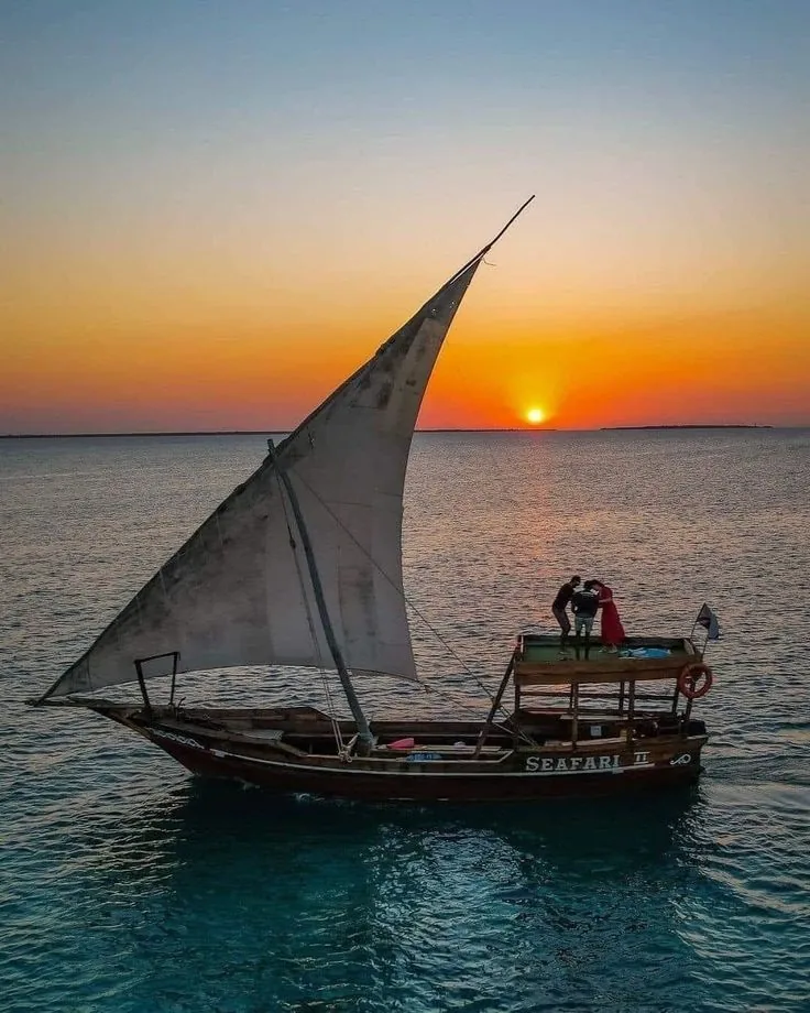 Starfish, Mnemba Island, Dolphins & Sunset Cruise
