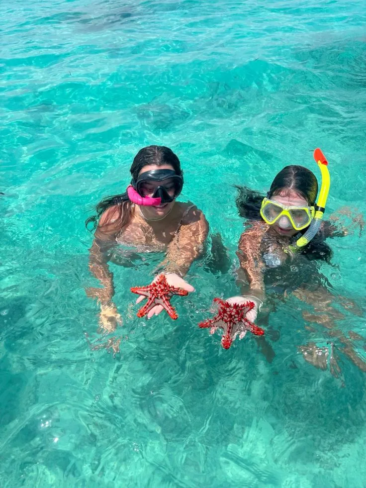 Starfish, Mnemba Island, Dolphins & Sunset Cruise