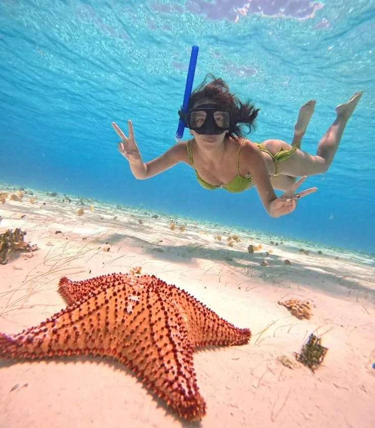 Starfish Tour at Kendwa Beach