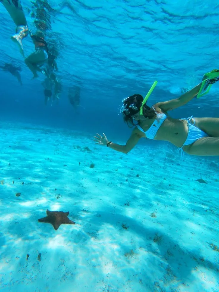 Starfish Tour at Kendwa Beach