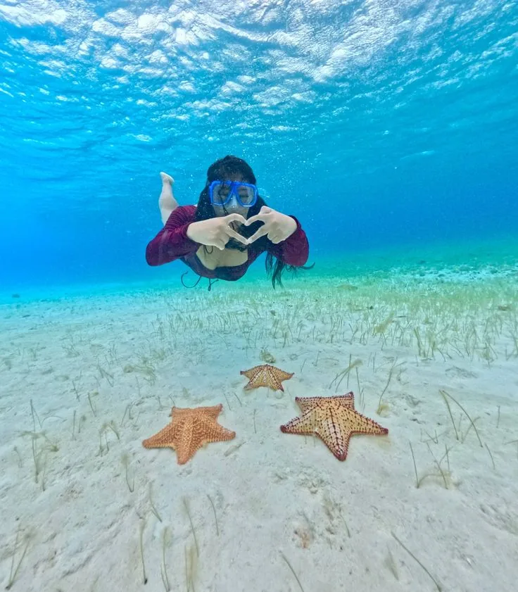 Starfish Tour at Kendwa Beach