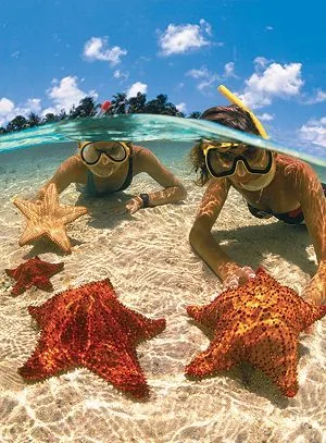 Starfish Tour at Kendwa Beach